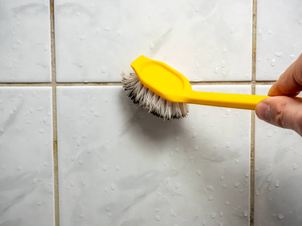 Best Toxic Mold Removal  in Port Jervis, NY
