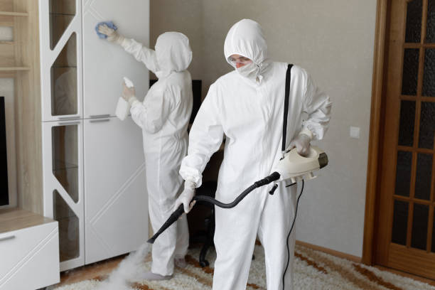 Best Crawl Space Mold Removal  in Port Jervis, NY